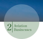 Aviation Businesses
