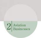 Aviation Businesses