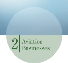Aviation Businesses